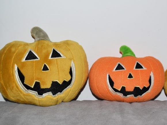 Pumpkin ITH Embroidery Design